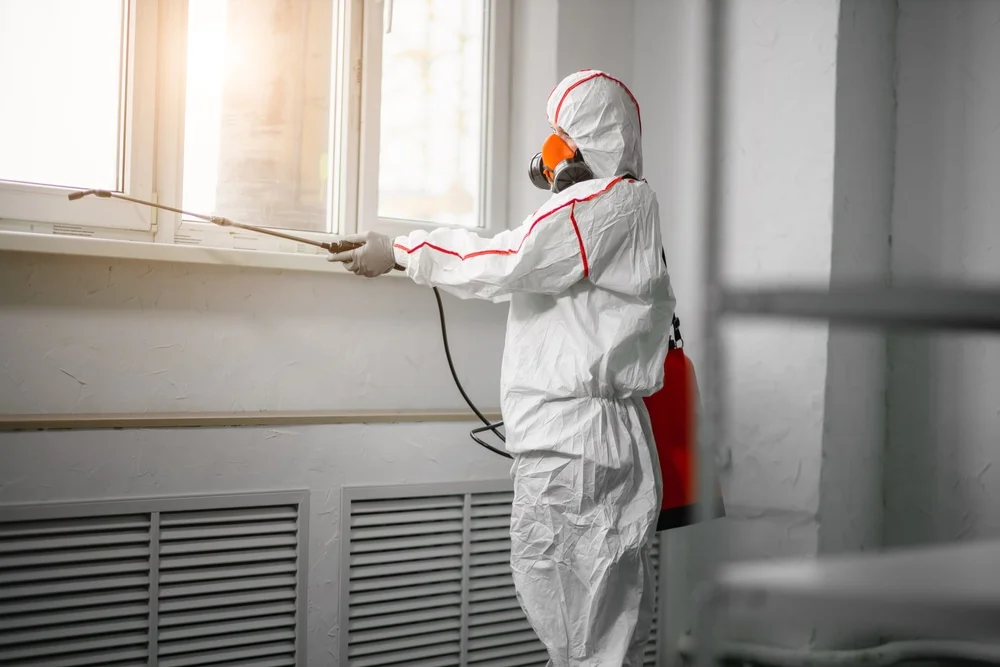 Professional mold remediation services in Waseca, MN